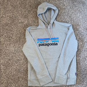 Grey Patagonia Sweatshirt